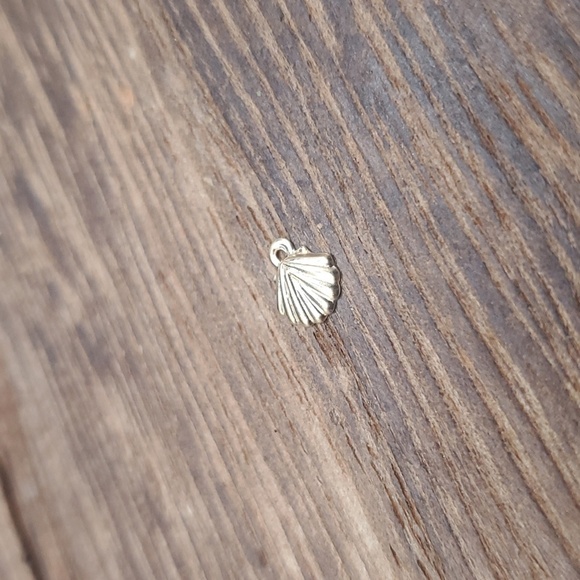 Tiny shell charm P106 - Picture 1 of 2